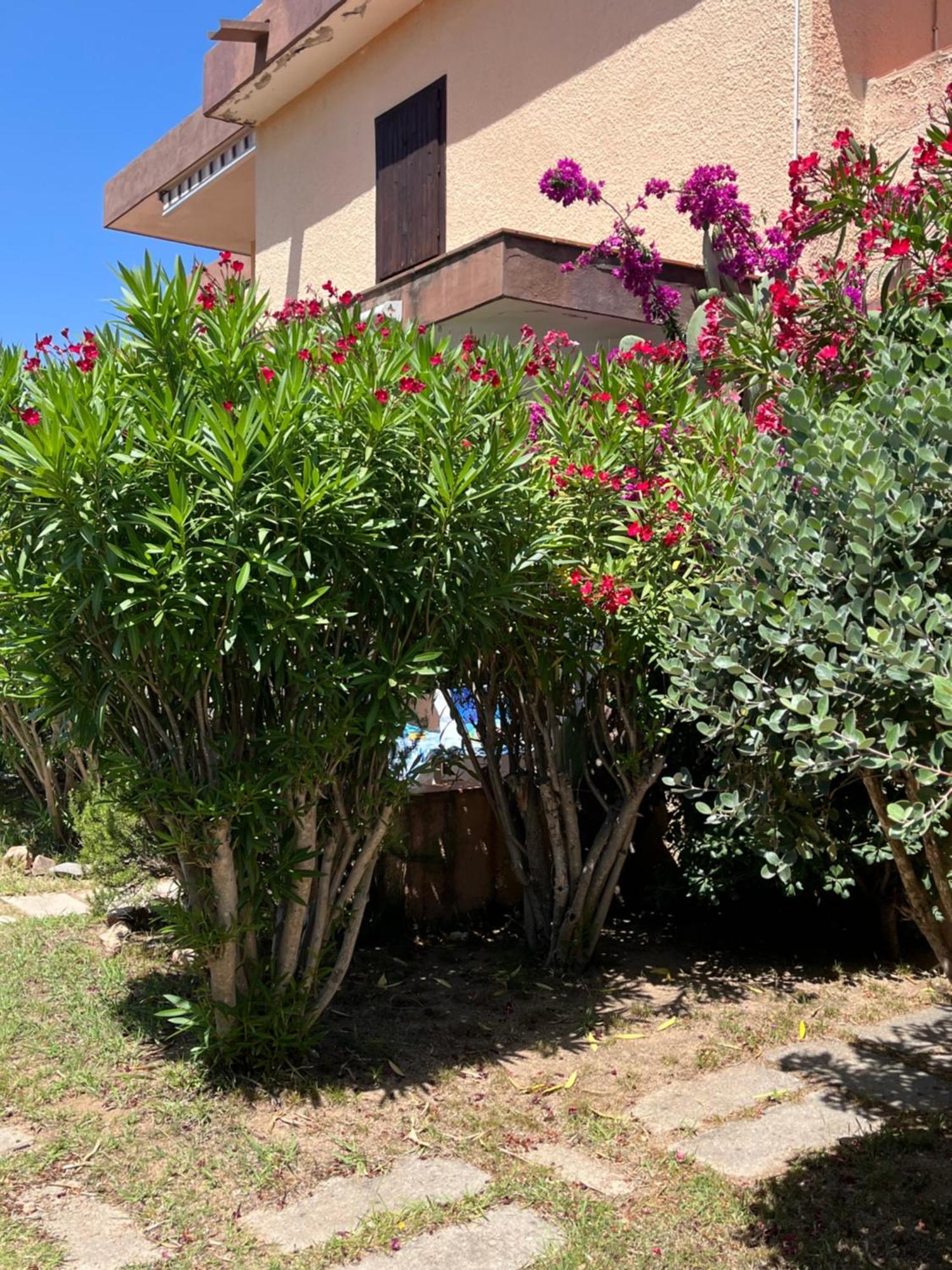 Bilocali Residenza Mediterranea Cannigione Dış mekan fotoğraf